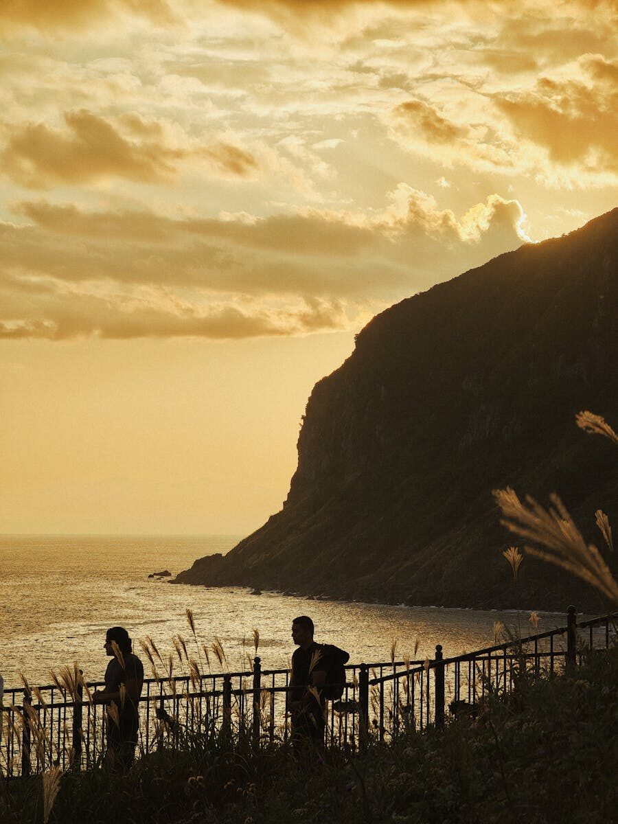 Trademark Dispute Resolution