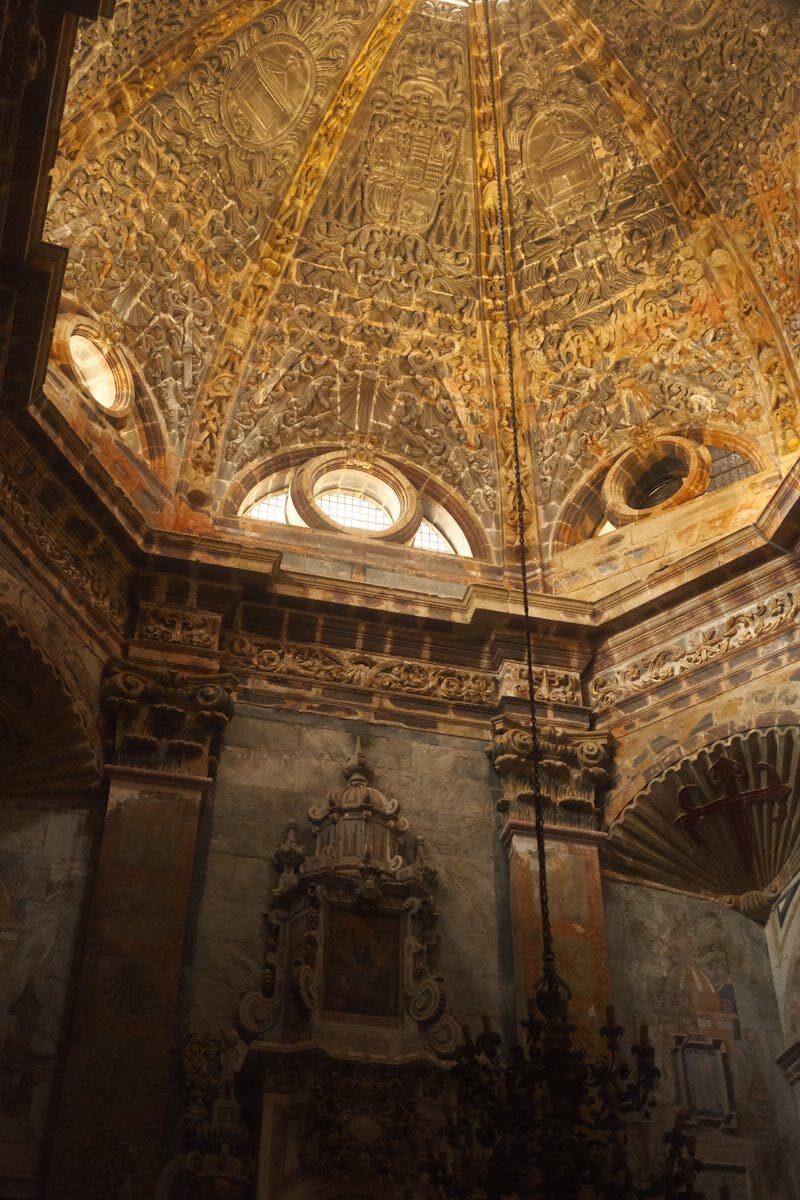 Representing Clients in Admin Hearings